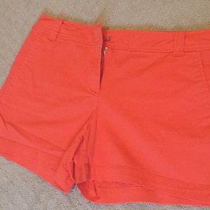 NY & Company Shorts